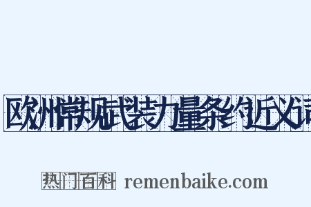 欧洲常规武装力量条约近义词是什么意思的图片